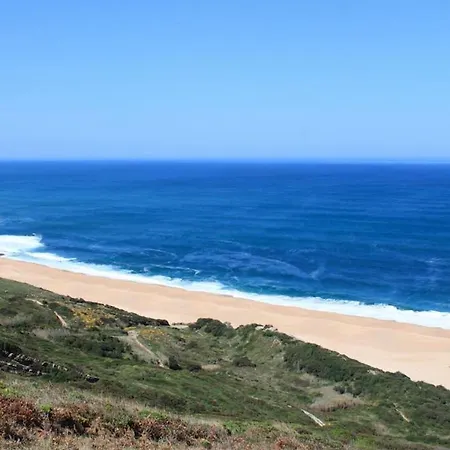 Charming House In With Terrace&parking Nazaré